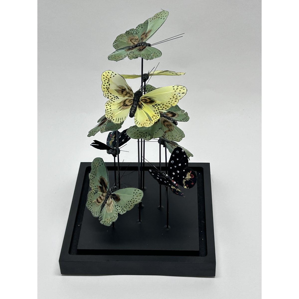 Natuurlijke vlindershow - Expositie