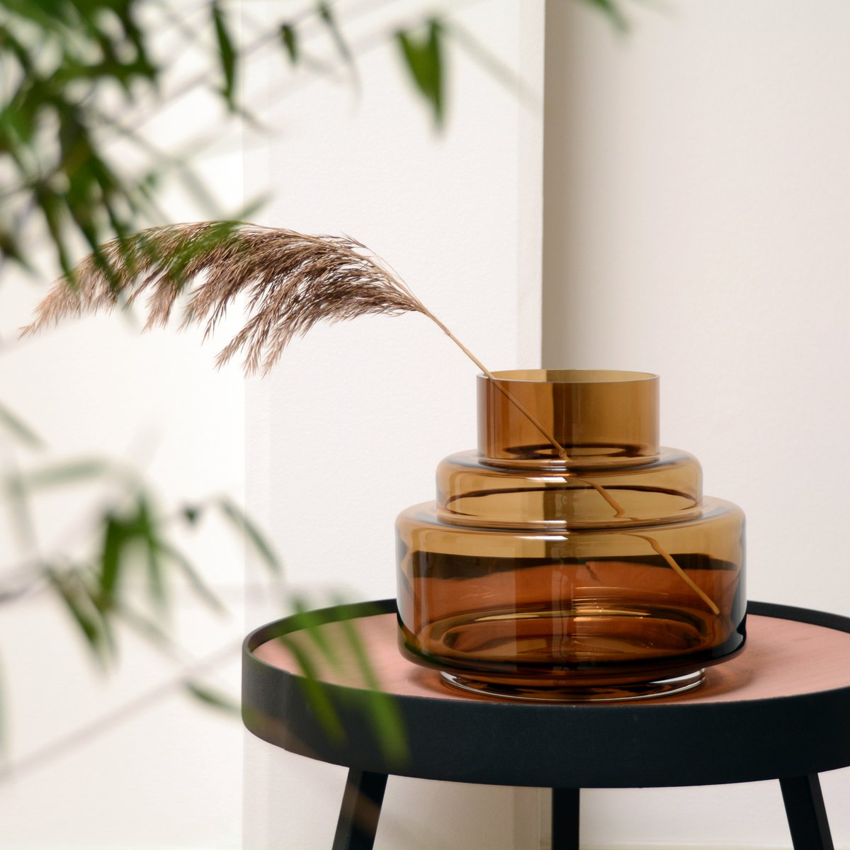 Vaas Chari cognac | 2 varianten