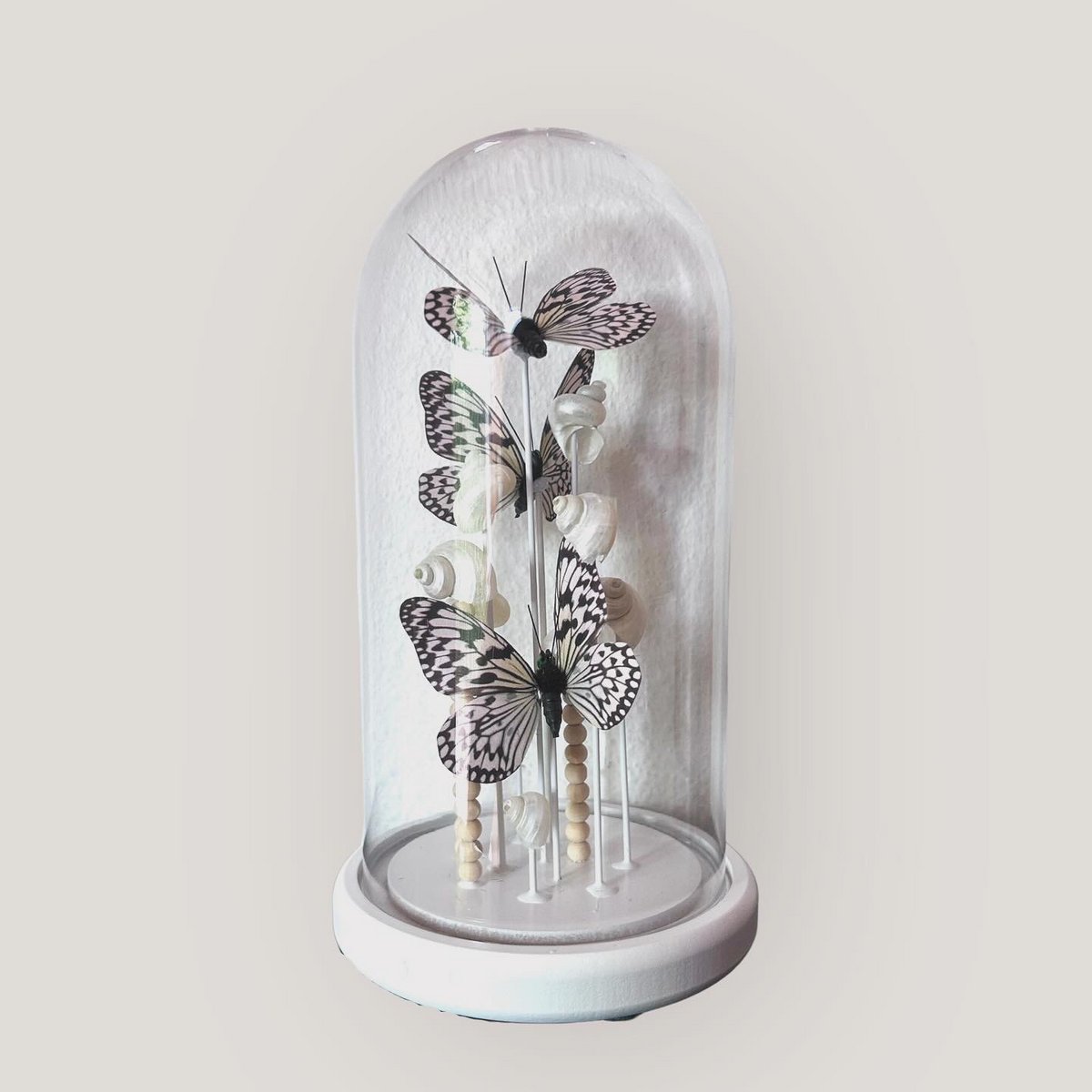 Parelmoeren Schelpen - Vlinderdecoratie