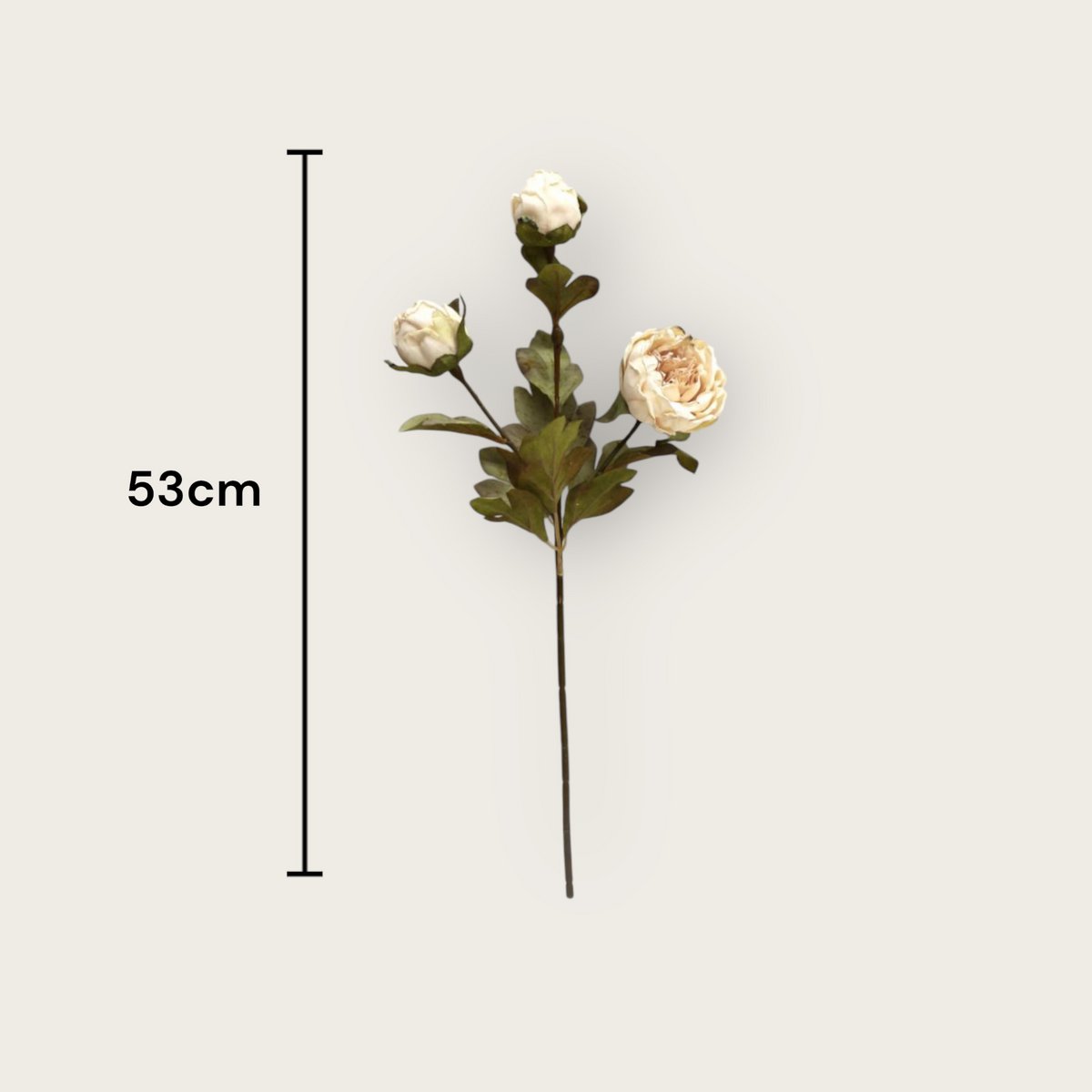 Herfstserie 3 Heads Peony Cream | Zijden kunstbloem | 1pcs