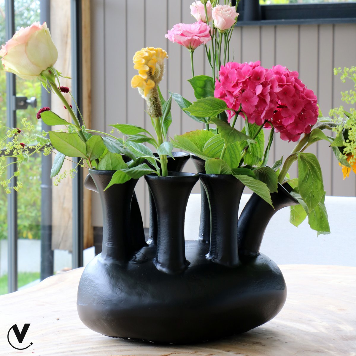 Vaas Assen black | 2 varianten