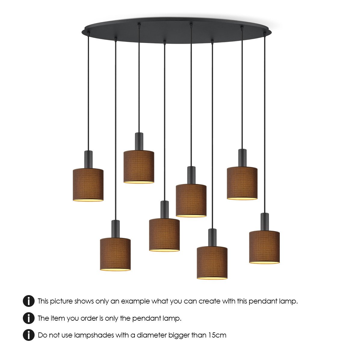 Zwarte ovale R metalen Hanglamp voor 8 lampen