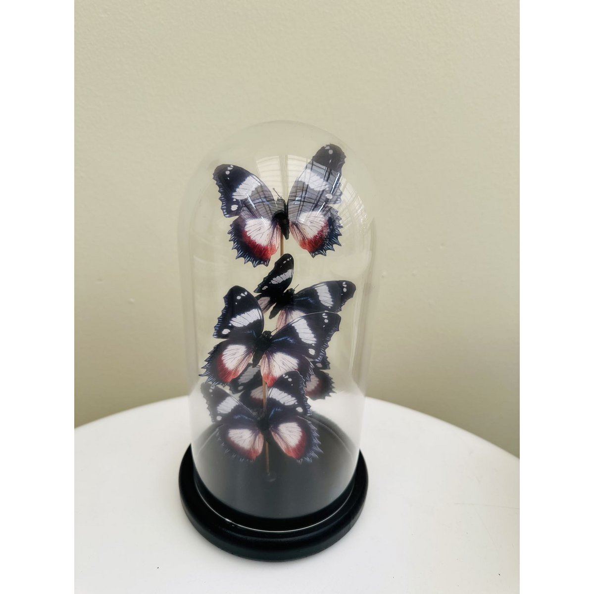 Vlinderdecoratie - Stolp