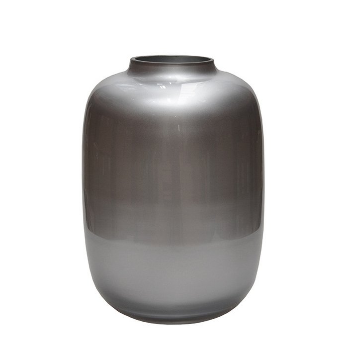 Vaas Artic Silver | 2 varianten
