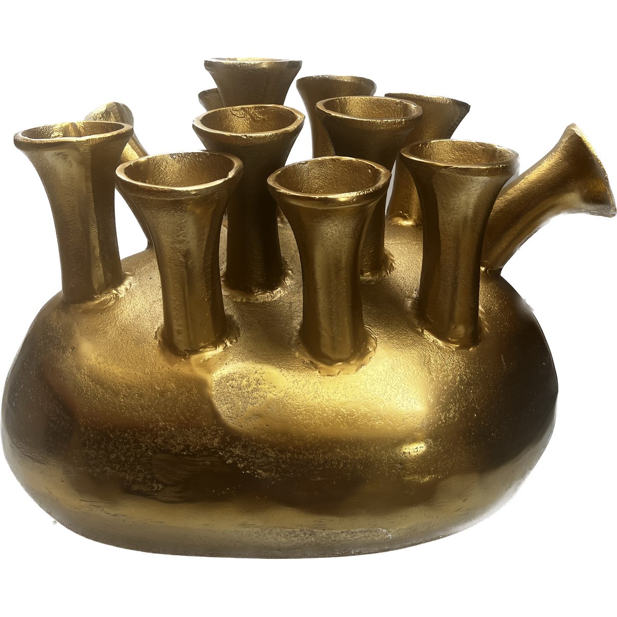 Vaas Assen gold