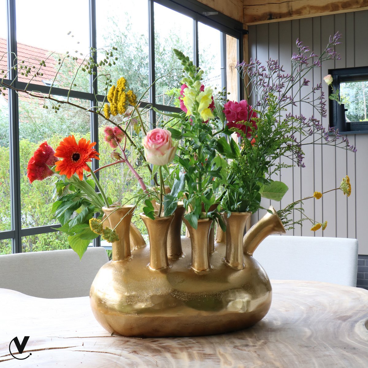 Vaas Assen gold