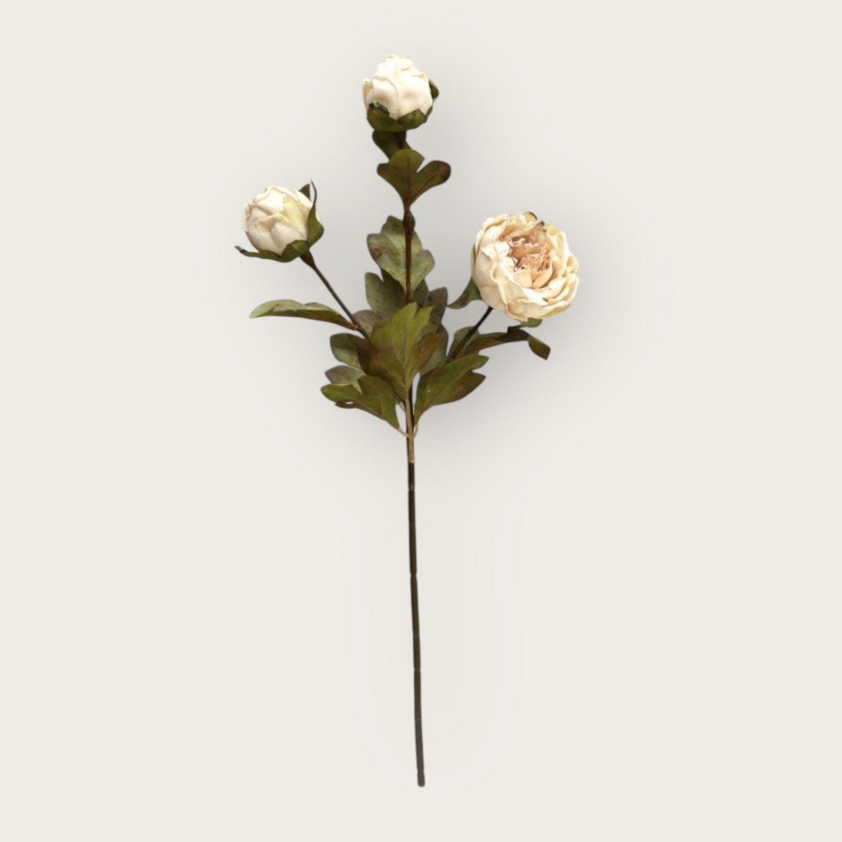 Herfstserie 3 Heads Peony Cream | Zijden kunstbloem | 1pcs