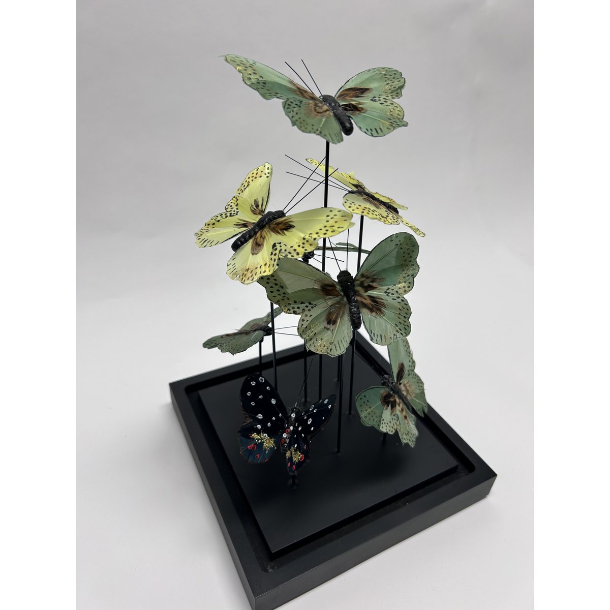Natuurlijke vlindershow - Expositie