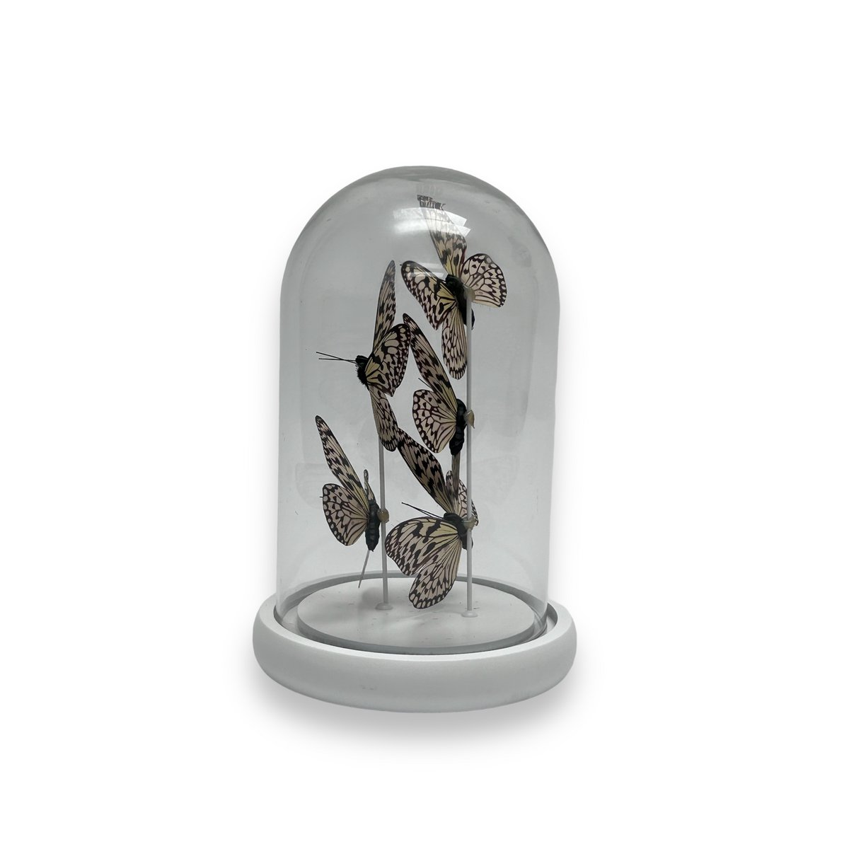 Witte vlinder - Stolp