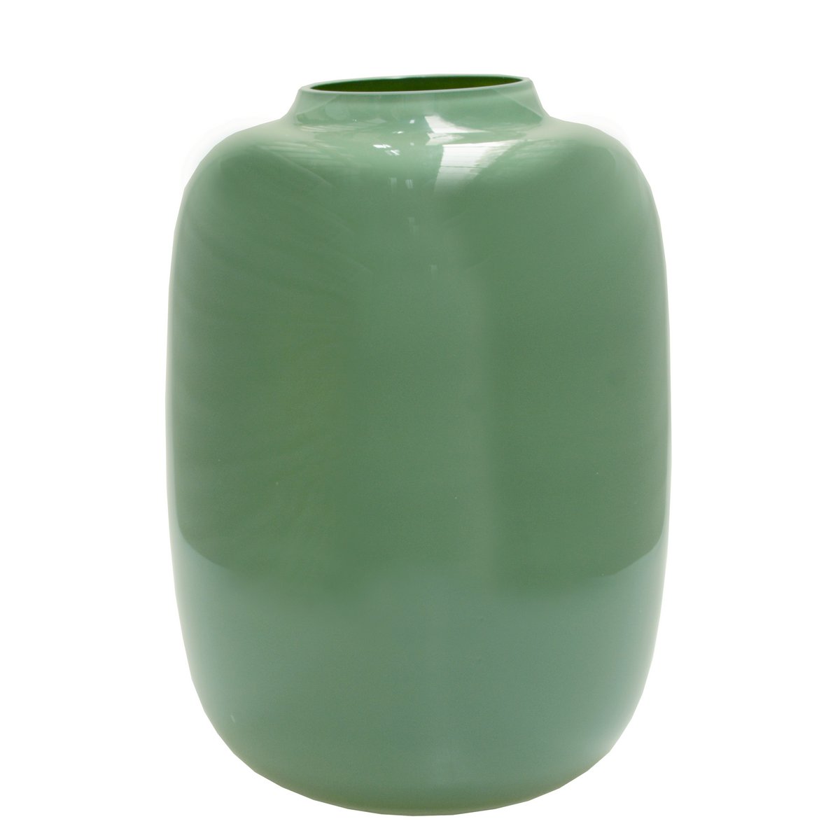 Vaas Artic Pastel green | 2 varianten