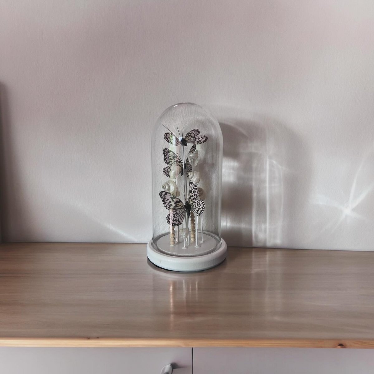 Parelmoeren Schelpen - Vlinderdecoratie