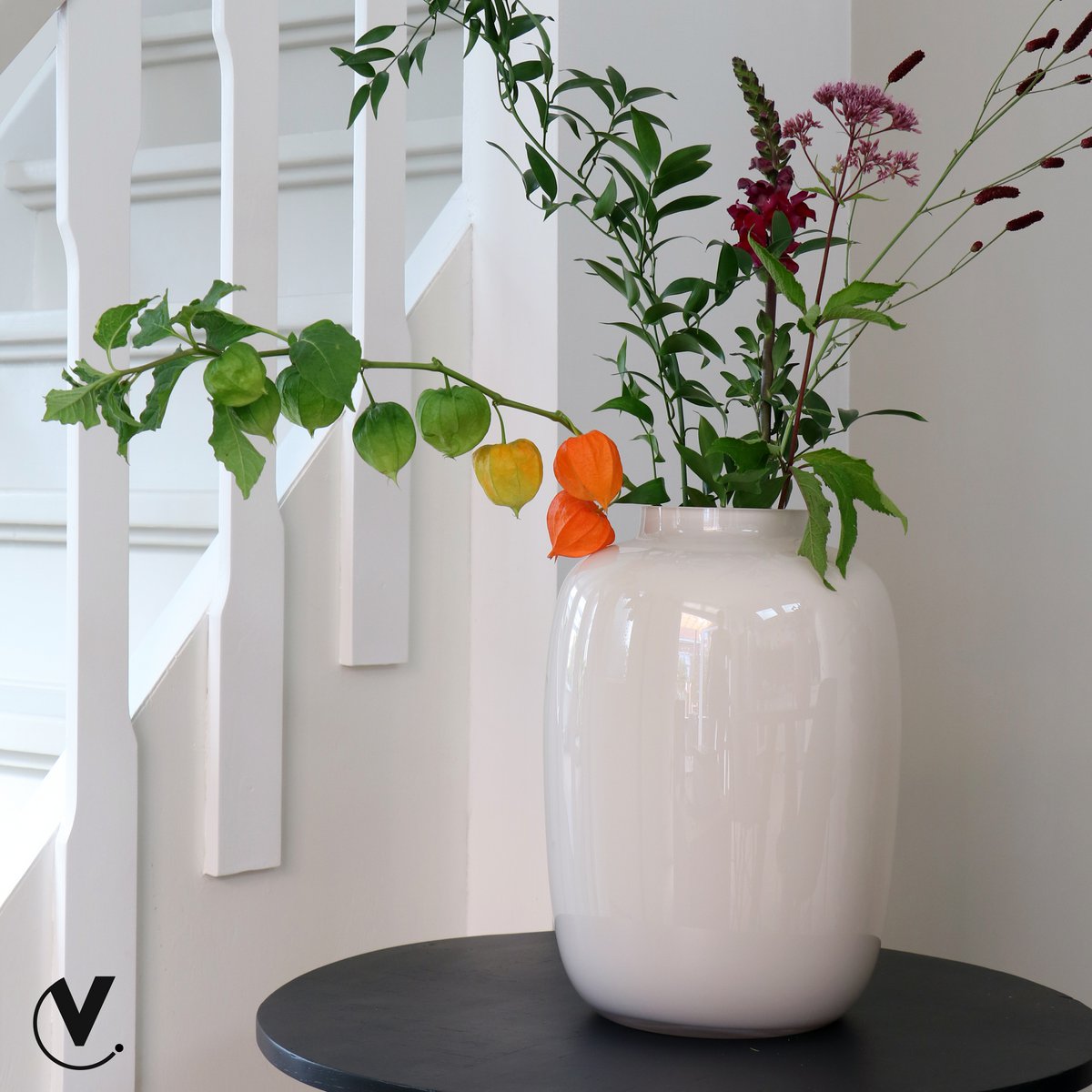Vaas Artic ivory | 2 varianten